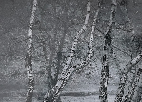 1619686015463.jpg (河南)马静坡摄影作品.jpg