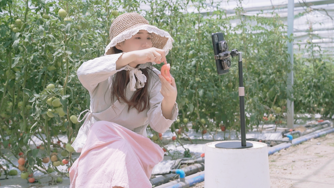 1693790821859.png 1693790821859.png