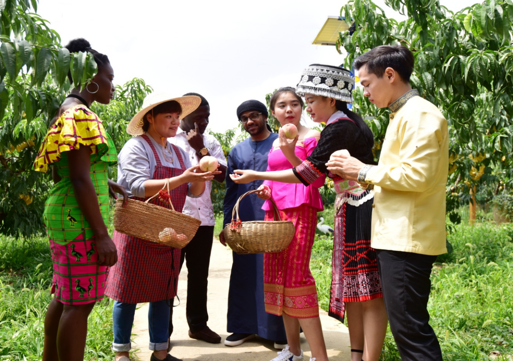 1694395878623.png 1694395878623.png