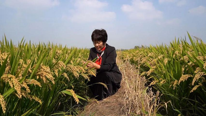 1694425622241.png 1694425622241.png